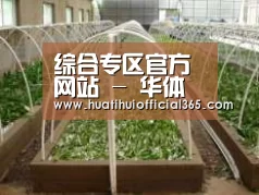 环境展示五