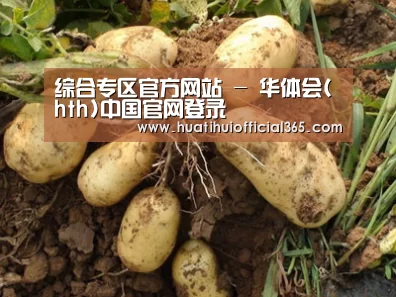 种植基地六