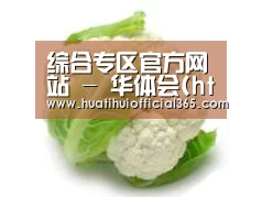 产品名称九