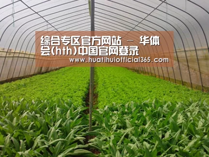 种植基地四