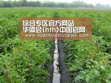 种植基地三