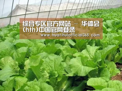 种植基地一