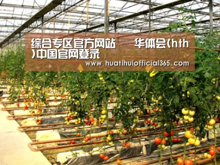 种植基地二