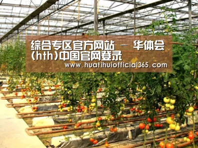 种植基地二(图1)