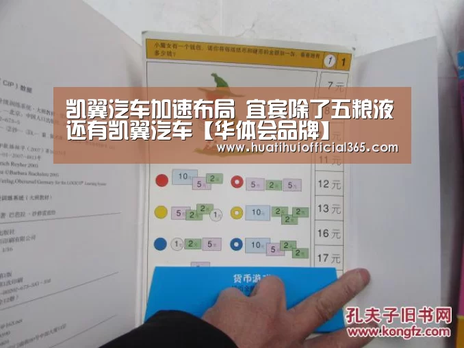 凯翼汽车加速布局 宜宾除了五粮液还有凯翼汽车【华体会品牌】(图3) 华体会品牌