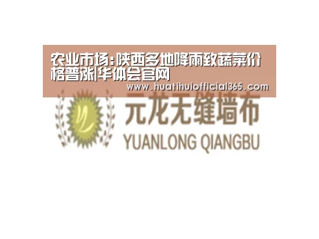 华体会赛程