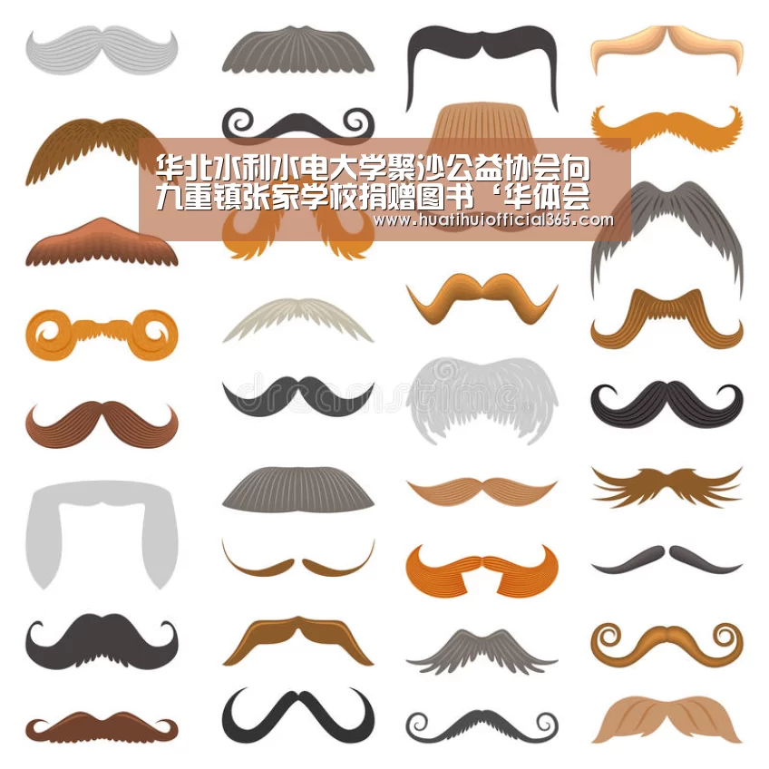 华北水利水电大学聚沙公益协会向九重镇张家学校捐赠图书‘华体会品牌’(图1) 华体会官网