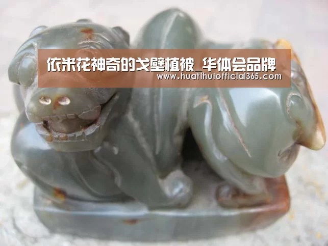依米花神奇的戈壁植被_华体会品牌(图1) 华体会官网