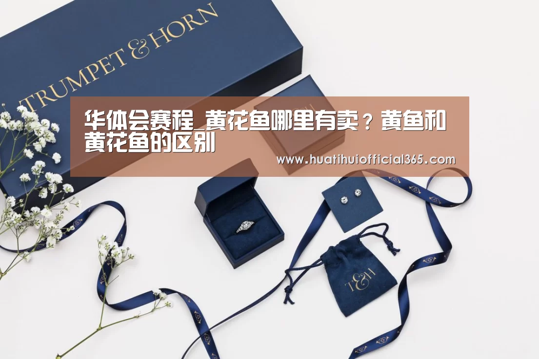 华体会赛程_黄花鱼哪里有卖?黄鱼和黄花鱼的区别(图1) 华体会体验