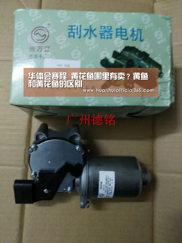 华体会赛程_黄花鱼哪里有卖?黄鱼和黄花鱼的区别(图2) 华体会赛程