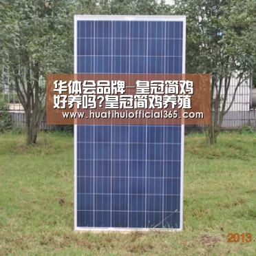 华体会品牌-皇冠简鸡好养吗?皇冠简鸡养殖前景分析(图2) 华体会体验