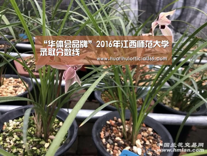 华体会体验